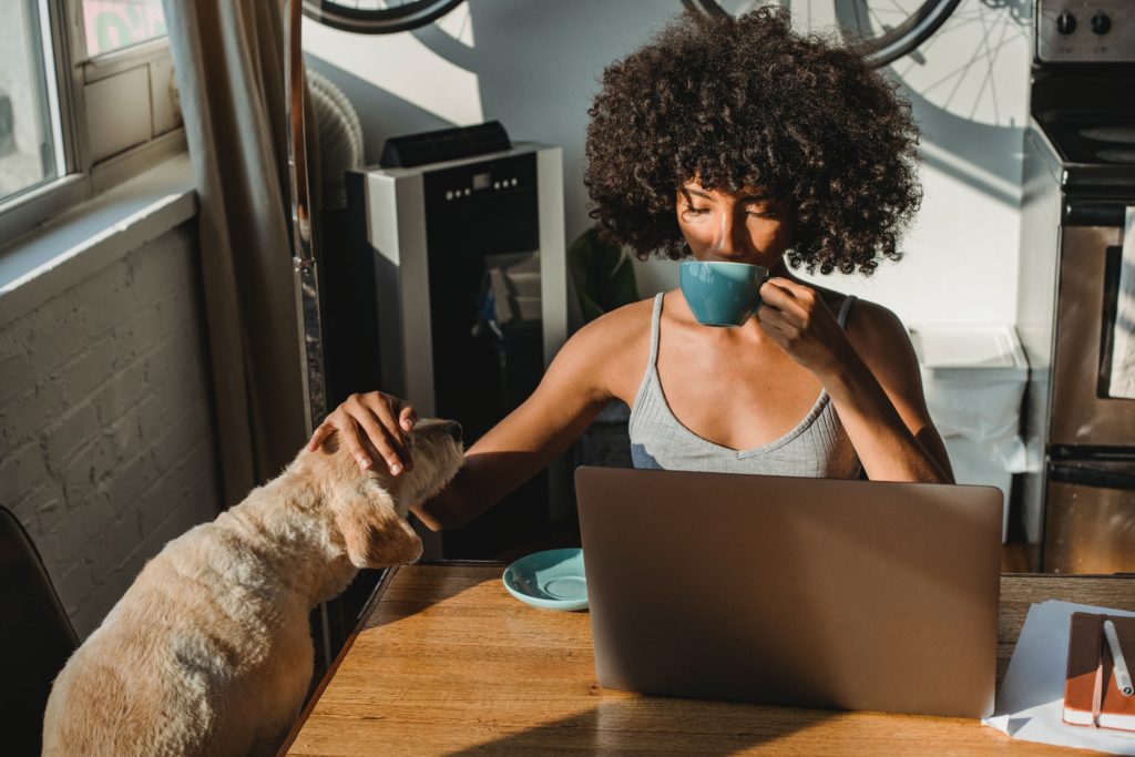 Wake up early context, Black woman on laptop drinking coffee and petting dog